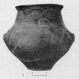 JAR (VILLA NOVA)