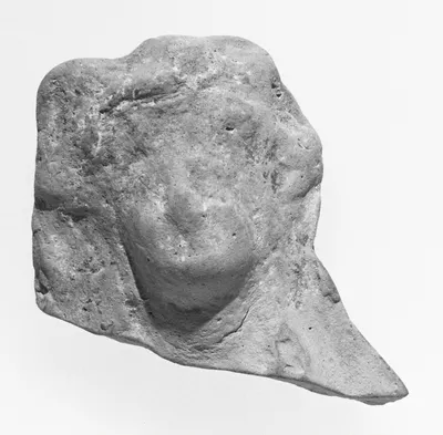 Female Head