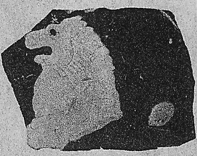 AMPHORA, BELLY (ATHENIAN, BLACK-FIGURE)