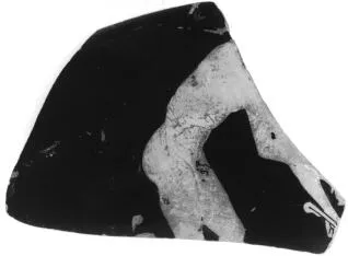 CUP, FRAGMENT (ATHENIAN, RED-FIGURE)