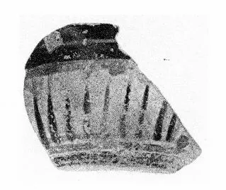 SKYPHOS, FRAGMENT (EAST GREEK)