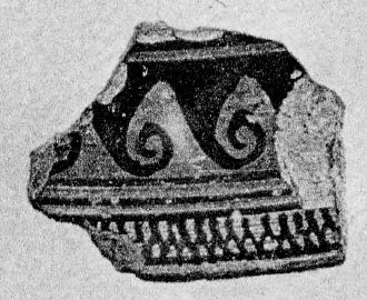 LID, FRAGMENT (PROTOATTIC)