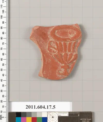 Terracotta fragments of a plate?