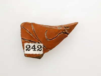 Vase fragment