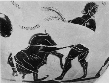 SKYPHOS (ATHENIAN, BLACK-FIGURE)