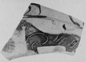 AMPHORA, NECK, FRAGMENTS (ATHENIAN, BLACK-FIGURE)