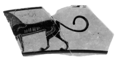 Attic Black-Figure Lip Cup Fragment