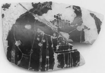 AMPHORA, NECK, FRAGMENTS (ATHENIAN, BLACK-FIGURE)