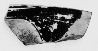 CUP, FRAGMENT (ATHENIAN, RED-FIGURE)