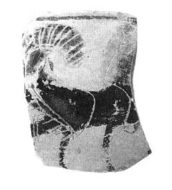 SKYPHOS, FRAGMENT (CORINTHIAN, BLACK-FIGURE)