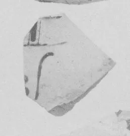 AMPHORA, NECK, FRAGMENT (ATHENIAN, BLACK-FIGURE)