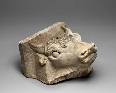 Figured Capital with Bull's Head