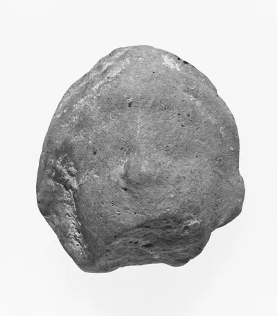 Female Head