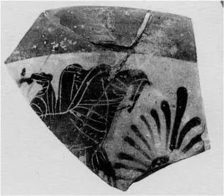 CUP SKYPHOS, FRAGMENT (ATHENIAN, BLACK-FIGURE)