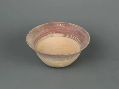 Bowl
