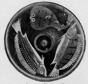 FISH PLATE (SOUTH ITALIAN, CAMPANIAN, RED-FIGURE)