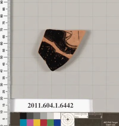 Terracotta fragment of a kylix (drinking cup)