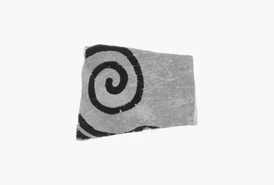 Attic Black-Figure Vase Fragment
