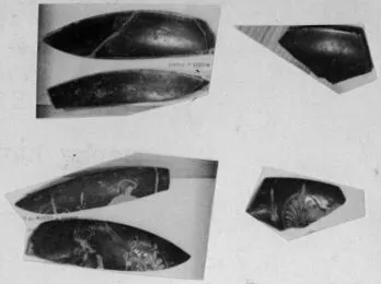 CUP, FRAGMENTS (ATHENIAN, RED-FIGURE)