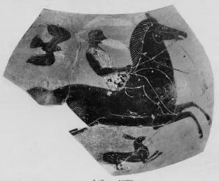 AMPHORA, BELLY, FRAGMENT (ATHENIAN, BLACK-FIGURE)