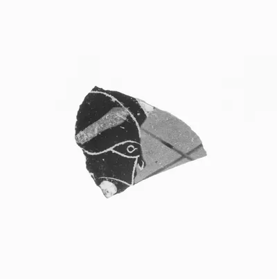 Attic Black-Figure Amphora Fragment