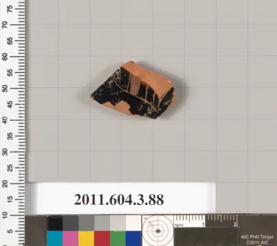 Terracotta fragment of an amphora (jar)