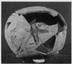 ARYBALLOS (CORINTHIAN, OUTLINE)