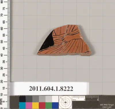 Terracotta fragment of a kylix (drinking cup)