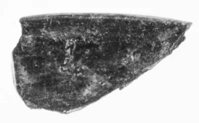 Undecorated Base Fragment