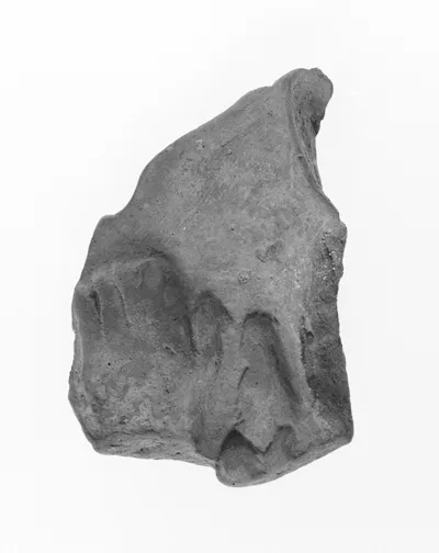 Head Fragment