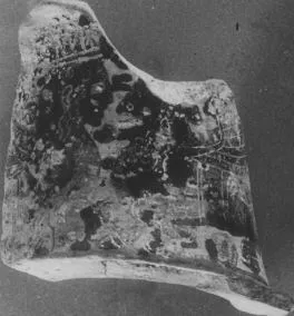 FRAGMENT (ATHENIAN, BLACK-FIGURE)