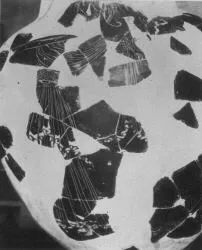 AMPHORA, PANATHENAIC PRIZE (ATHENIAN, BLACK-FIGURE)
