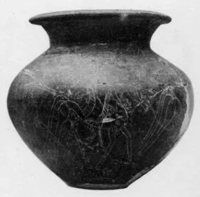 JAR (VILLA NOVA)