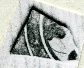 CUP, FRAGMENT (ATHENIAN, RED-FIGURE)