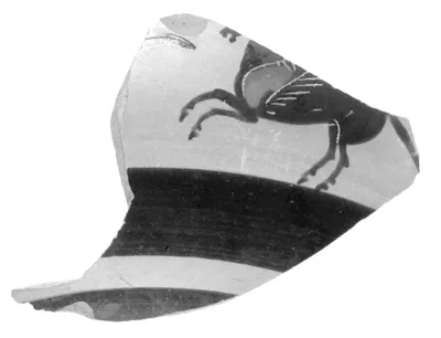 Attic Black-Figure Band Cup Fragment