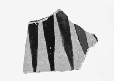 Attic Black-Figure Amphora Fragment