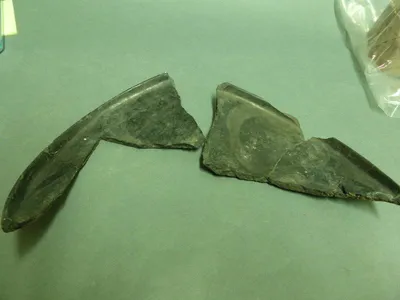 vase ; fragment