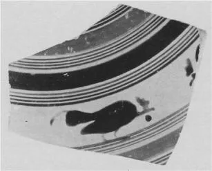 CUP DROOP, FRAGMENT (ATHENIAN, BLACK-FIGURE)