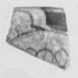 CUP, FRAGMENT (ATHENIAN, RED-FIGURE)