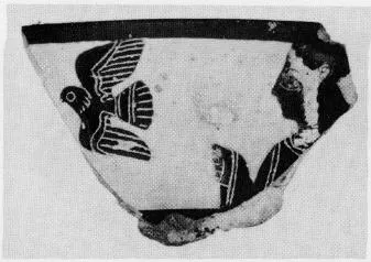 CUP, SIANA, FRAGMENT (ATHENIAN, BLACK-FIGURE)