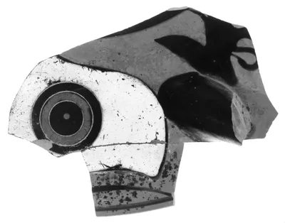 Attic Black-Figure Eye Cup Rim Fragment
