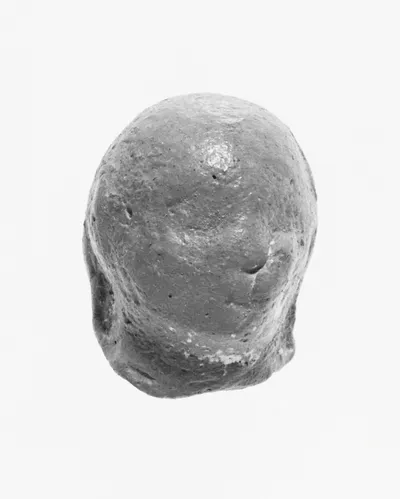 Female Head
