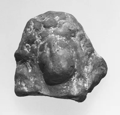 Female Head