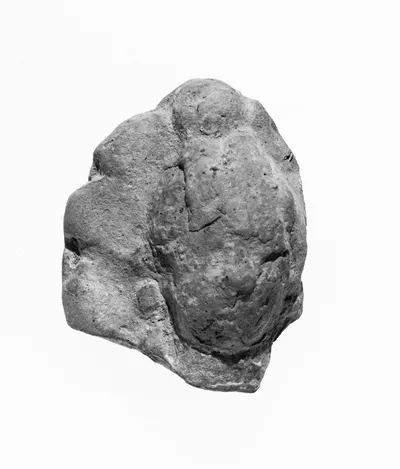 Female Head