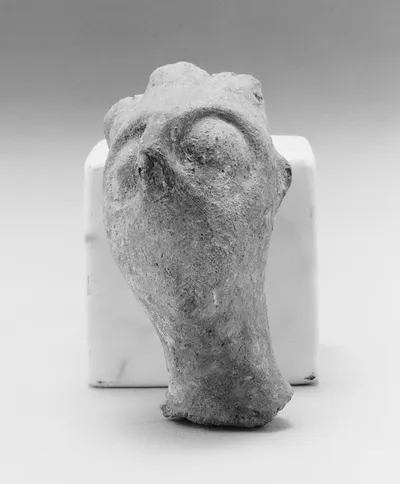 Male Head