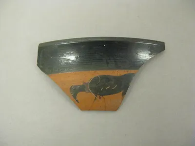 coupe