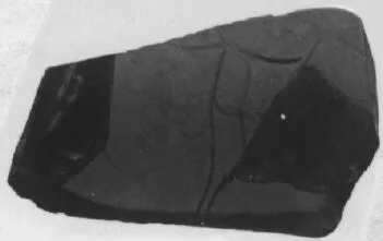 CUP, FRAGMENT (ATHENIAN, RED-FIGURE)