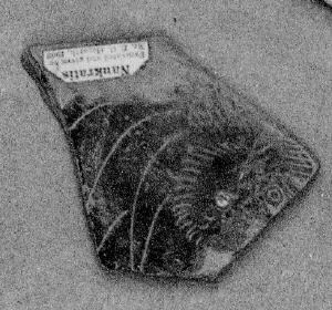 DINOS, FRAGMENT (EAST GREEK, CLAZOMENIAN, BLACK-FIGURE)