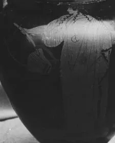 AMPHORA, NECK (ATHENIAN, RED-FIGURE)
