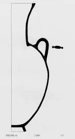 AMPHORA, NECK, SHOULDER-HANDLED (ATHENIAN GEOMETRIC)